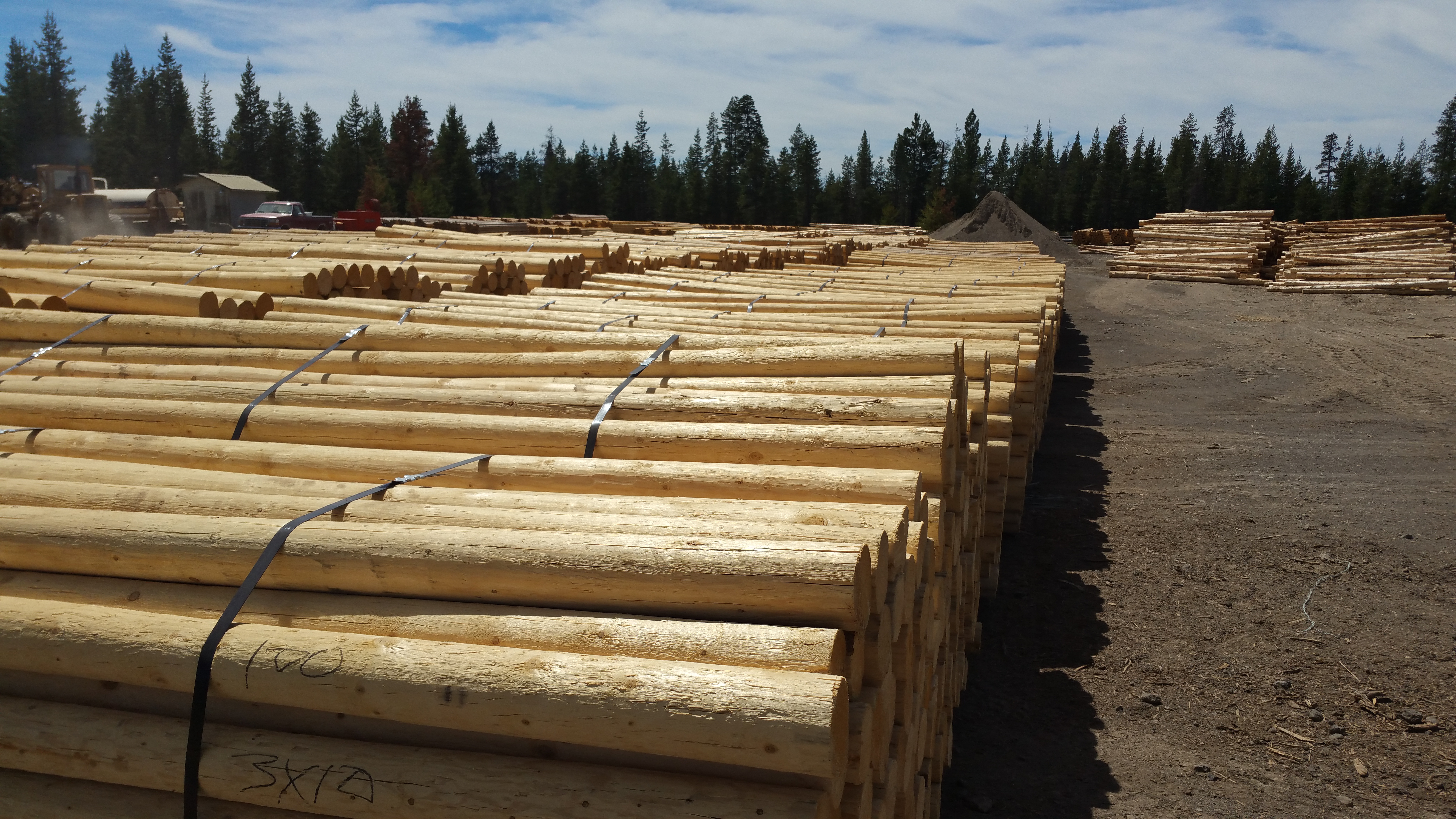Lodgepole Pine Posts